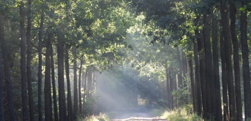 Welkom op onze nieuwe website!